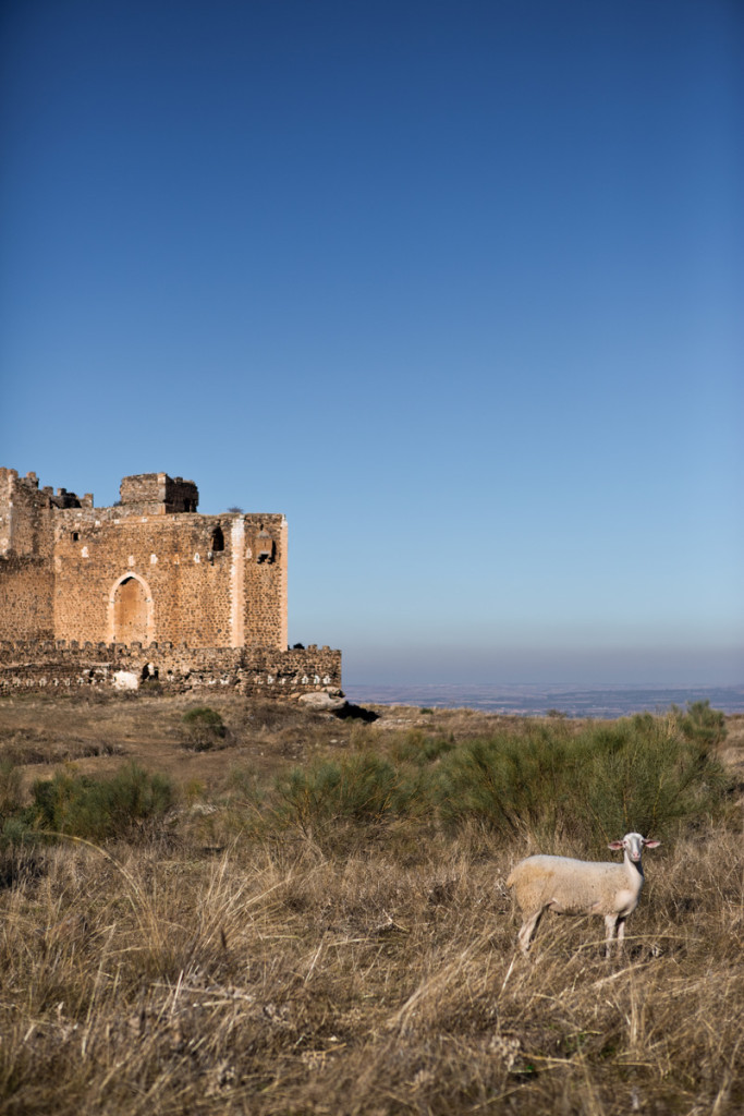 Castillo de Montalbán, de la orden de los Templarios